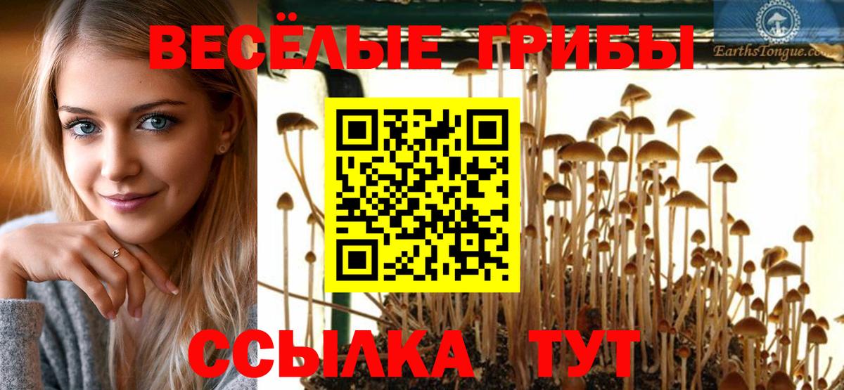Псилоцибиновые грибы Psilocybine cubensis  Псилоцибиновые грибы мухоморы  Вход с VPN  Борисоглебск 